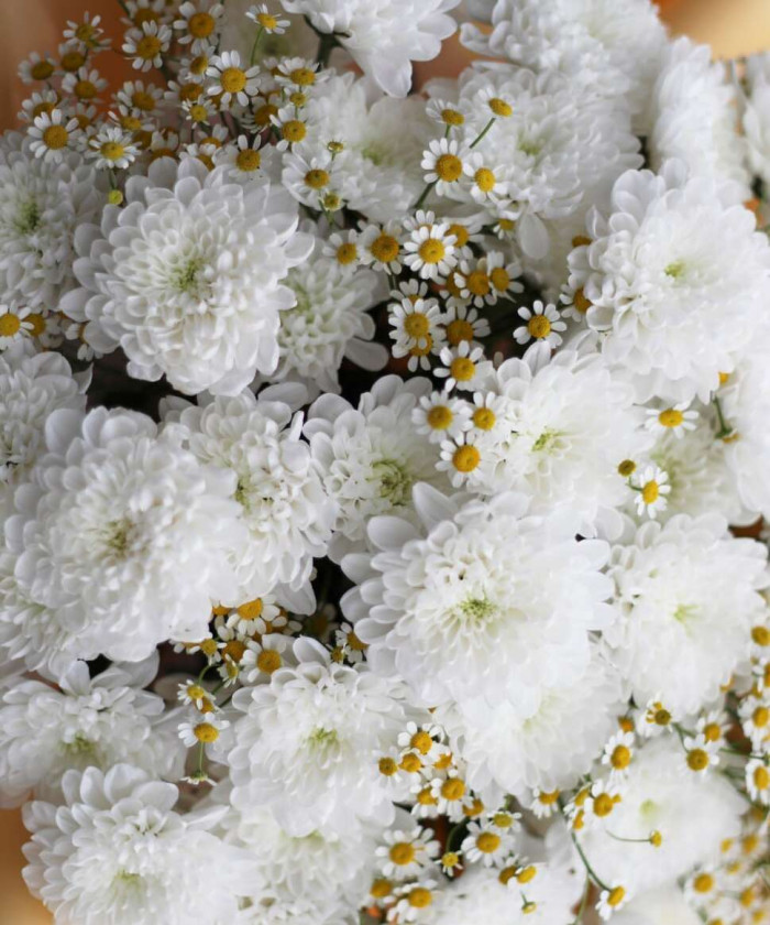 11 Хризантем Алтай и ромашки танацетум в букете 
