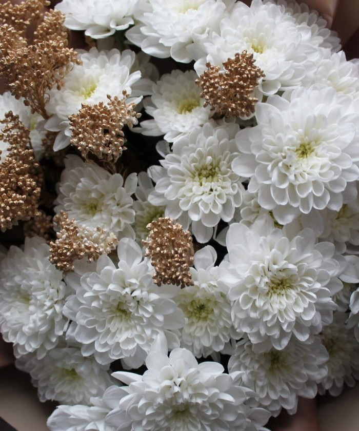 7 белых хризантем Алтай в букете 