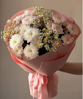 Ромашки и хризантемы Алтай №3468