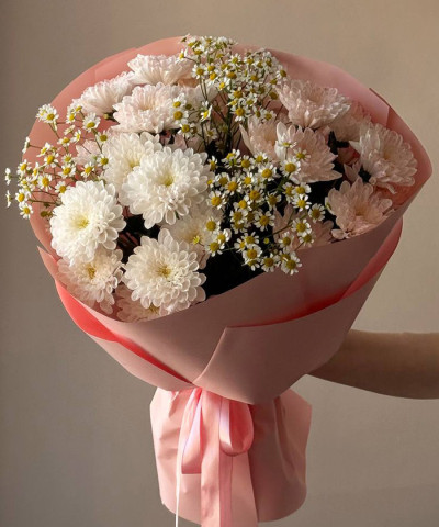 Ромашки и хризантемы Алтай №3468