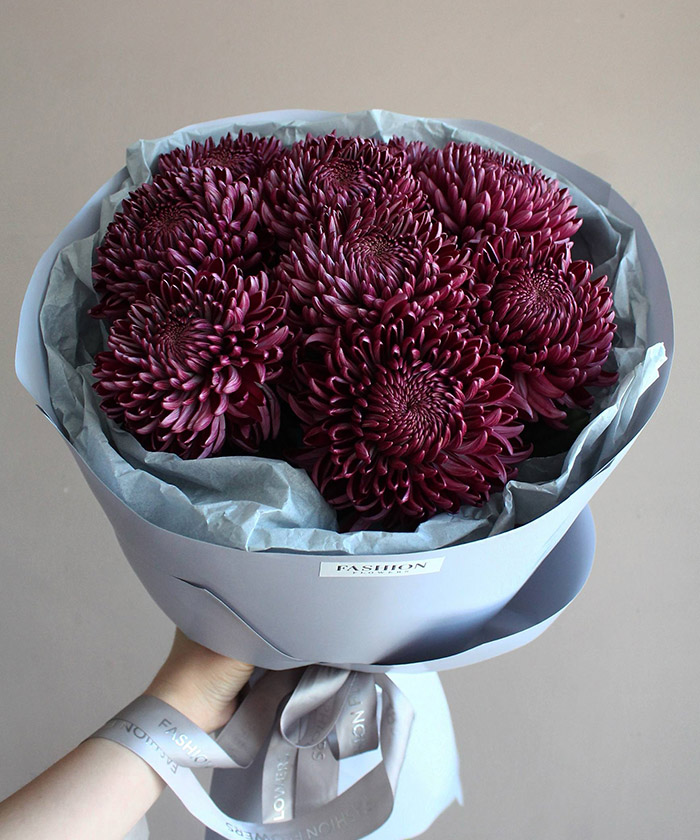 9 винных хризарнтем Бигуди перпл №6757