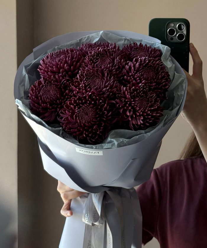 9 винных хризарнтем Бигуди перпл №6757