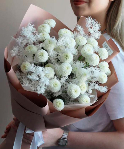 5 белых кустовых хризантем Ньютон №3564