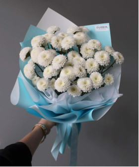 5 кустовых белых хризантем Коконат №3633
