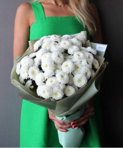 9 белых кустовых хризантем Коконат №3570