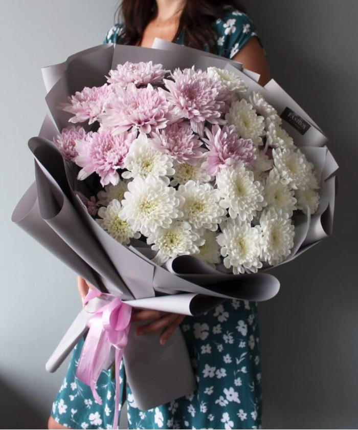 7 розовых и белых кустовых хризантем Балтика №4689