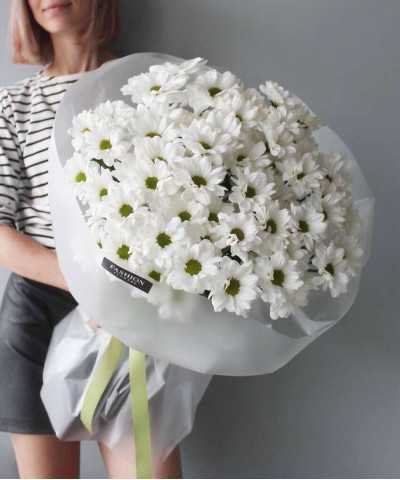 9 белых ромашковых хризантем Кеннеди №2830