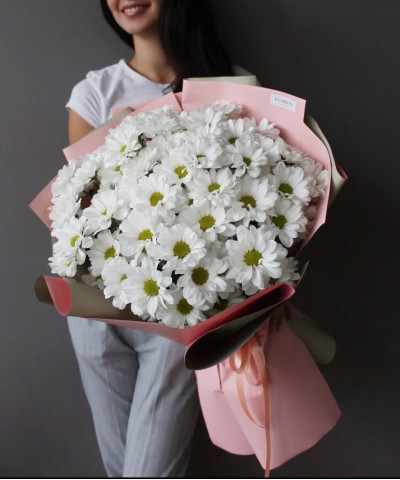 9 белых ромашковых хризантем Кеннеди №2222
