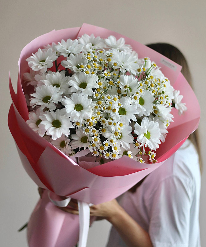 Ромашки и хризантемы Кеннеди №3451