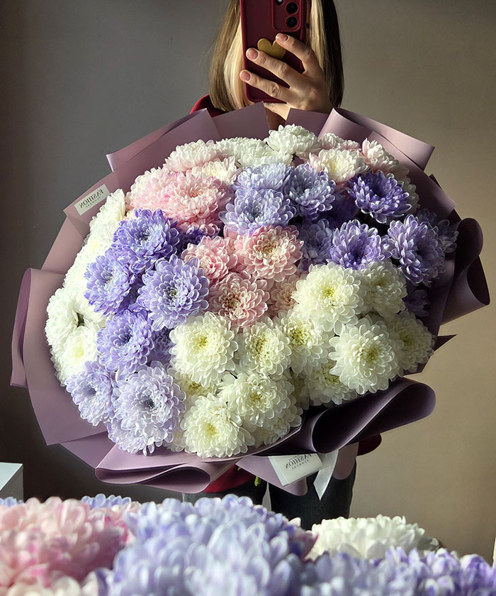 15 акварельных хризантем Алтай №7641