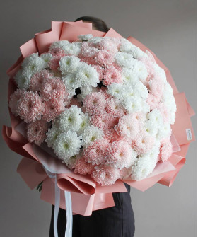 25 белых и розовых хризантем Алтай "Нежный восторг" №6994