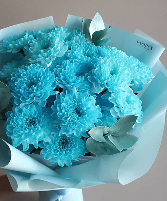 3 акварельные голубые хризантемы №6756