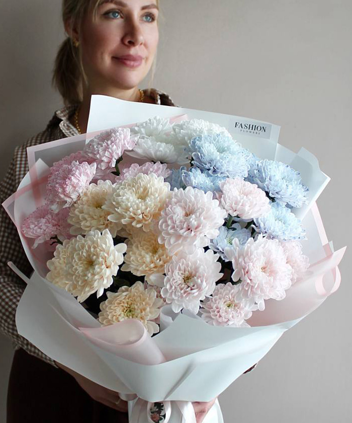 5 акварельных кустовых хризантем Алтай №5620