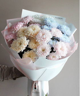 5 акварельных кустовых хризантем Алтай №5620