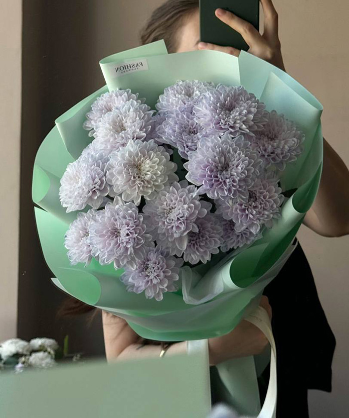 5 черничных кустовых хризантем Алтай №2947