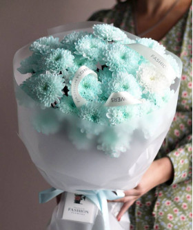 5 мятных хризантем Алтай №4558