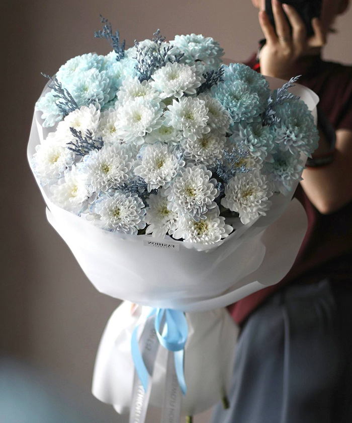 7 бело-голубых хризантем Алтай №4596