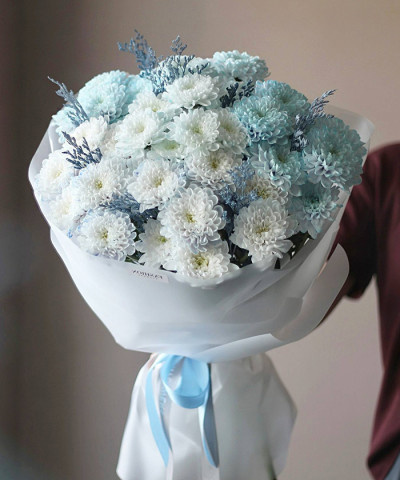 7 бело-голубых хризантем Алтай №4596