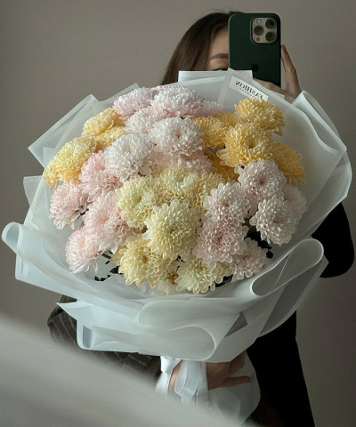 7 кустовых крашенных хризантем Алтай "Персиковый закат" №6565