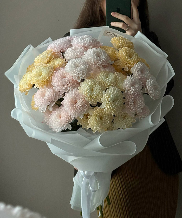 7 кустовых крашенных хризантем Алтай 