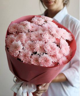 7 пудровых розовых хризантем Алтай №4631