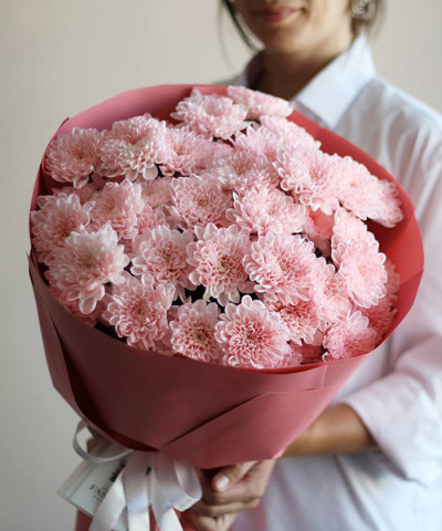 7 пудровых розовых хризантем Алтай №4631