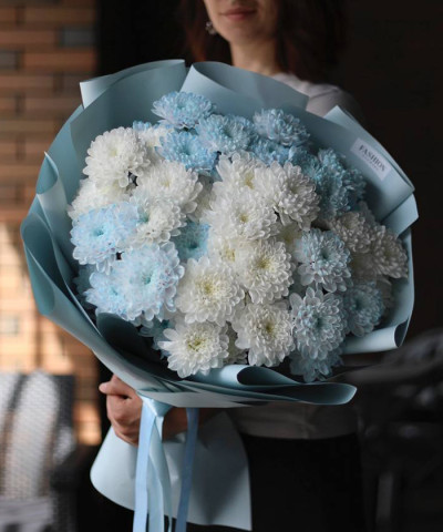 9 бело-голубых хризантем Алтай №4551