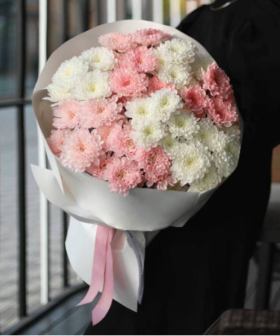 9 нежных бело-розовых хризантем Алтай №3116