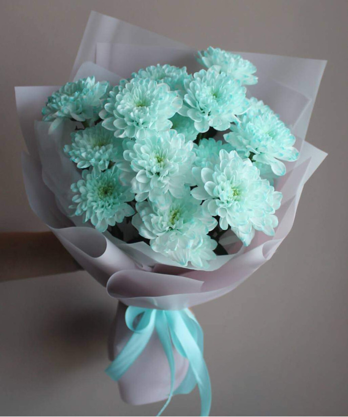 3 акварельные хризантемы Алтай №8854