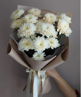 3 ванильные хризантемы Алтай №4780