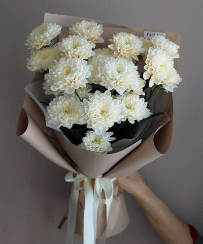 3 ванильные хризантемы Алтай №4780