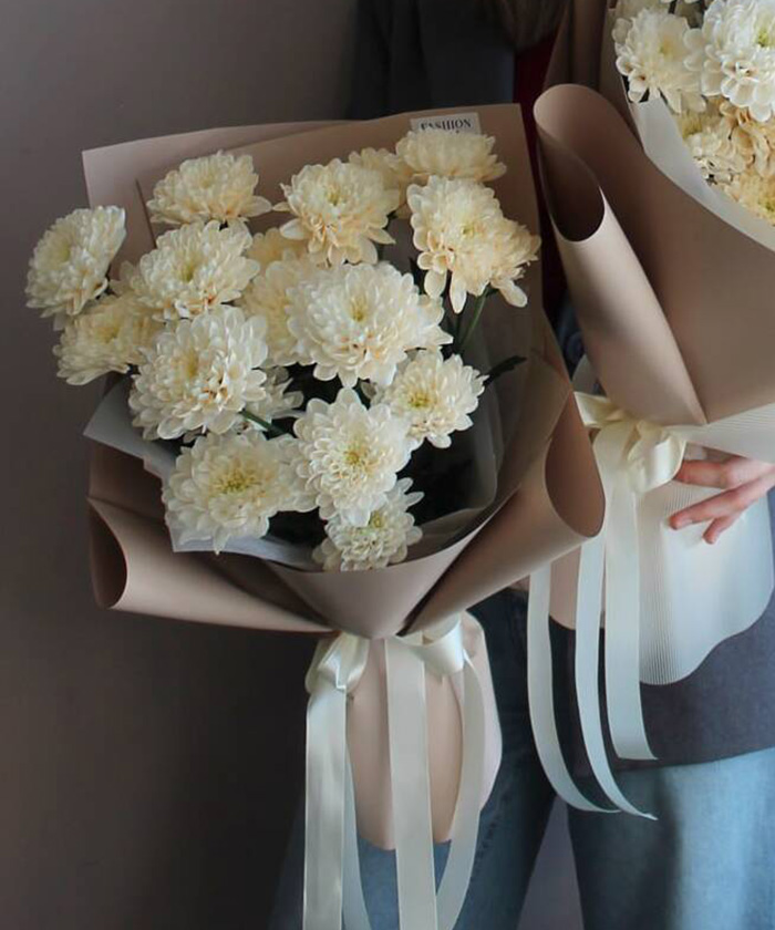 3 ванильные хризантемы Алтай №4780