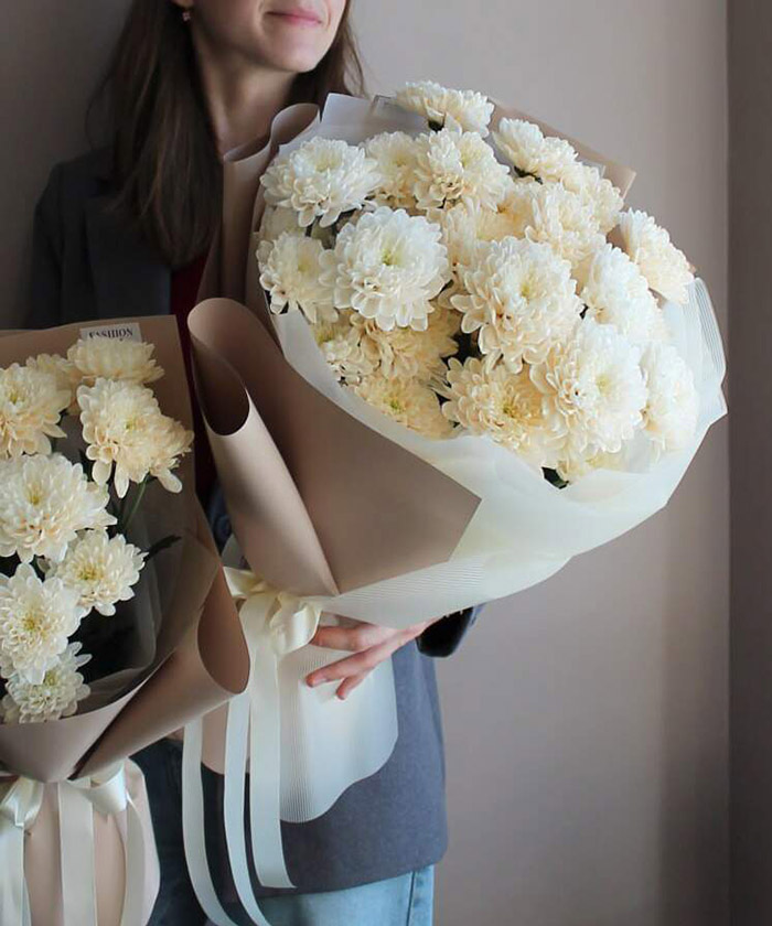 5 ванильных хризантем Алтай №4123