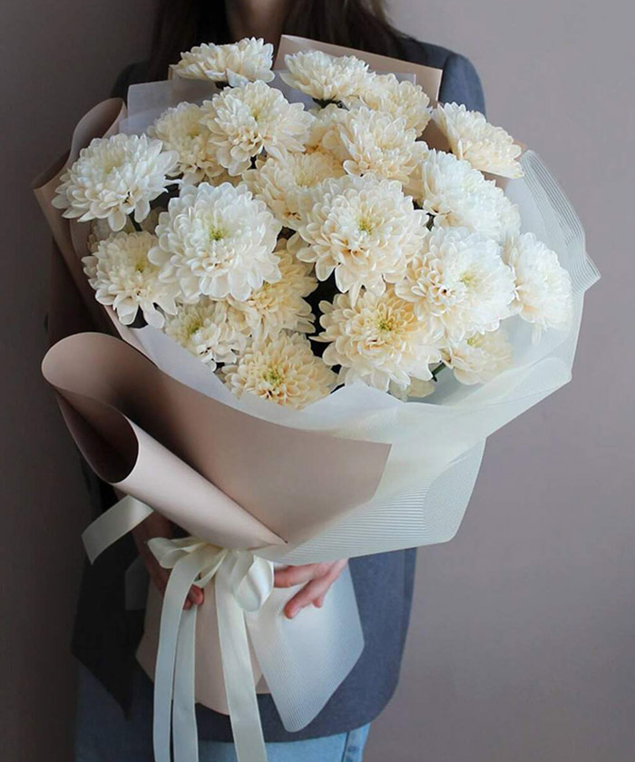 5 ванильных хризантем Алтай №4123