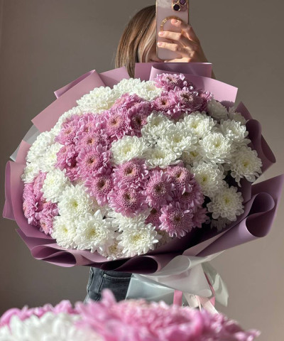 15 бело-розовых хризантем Алтай и Романс в букете "Обаяние" №4571
