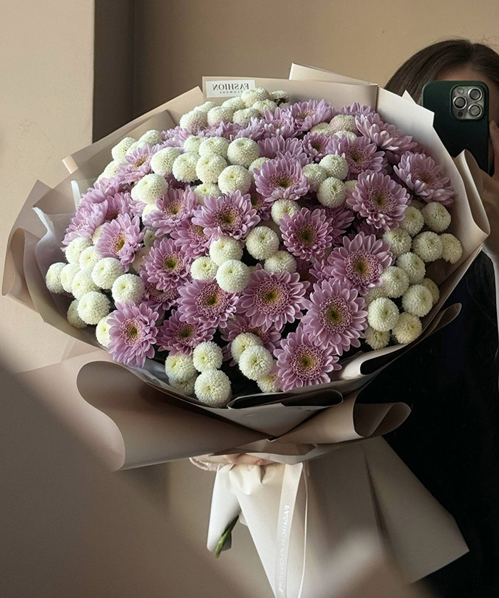 25 бело-розовых хризантем Ньютон и Оптимист №5667