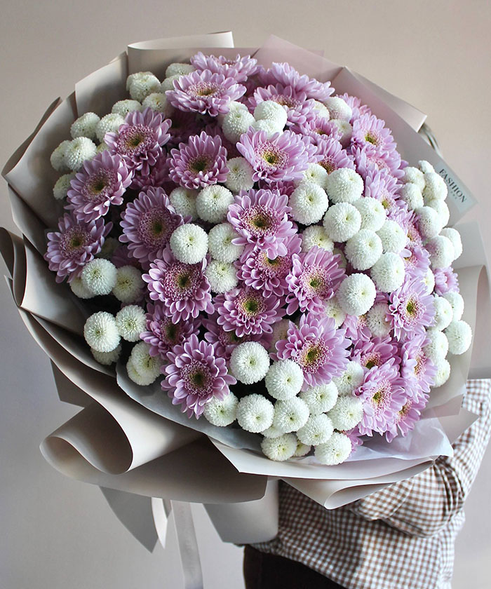 25 бело-розовых хризантем Ньютон и Оптимист №5667