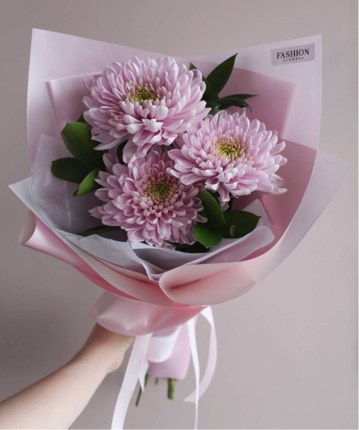 3 розовые хризантемы Россано №2764