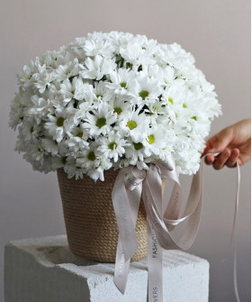 Корзина с белыми ромашковыми хризантемами №3138