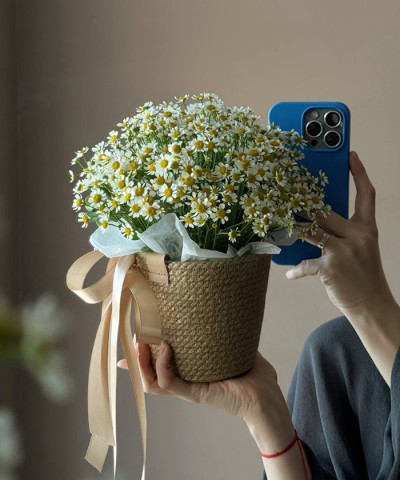 "Улыбка лета" Ромашки танацетум в корзинке джут №4343