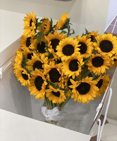 25 подсолнухов под ленту, в фирменной коробке №7584
