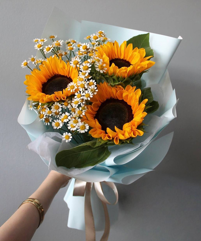 Подсолнухи и ромашки танацетум №2458