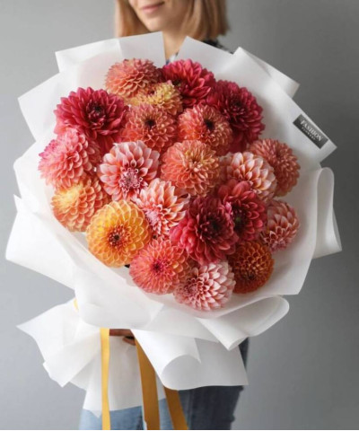 21 георгин Роял микс №3678