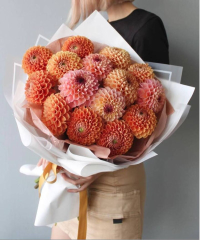 15 георгин Роял микс №2522