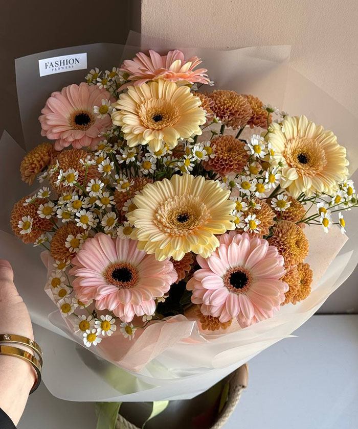 Гермини и ромашки танацетум №4758