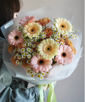 Гермини и ромашки танацетум №4758