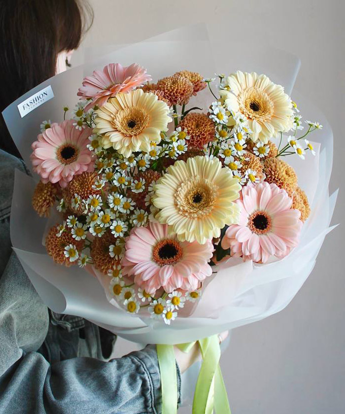 Гермини и ромашки танацетум №4758