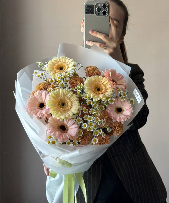 Гермини и ромашки танацетум №4758