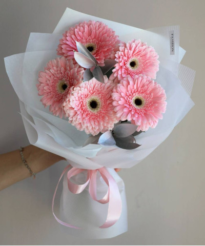 5 розовых гербер Грейсленд №8374