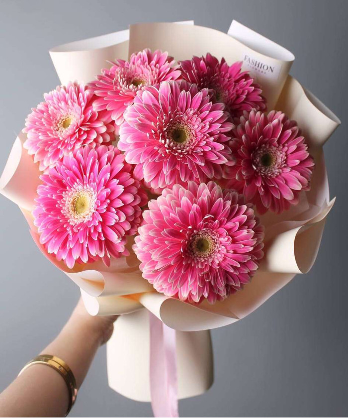 7 розовых гербер Помпони №6797